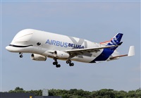 Luis Rguez - La Palma Spotting. Haz click para ampliar