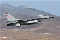 J. Victor Vega-Gran Canaria Spotters. Click to see full size photo