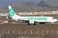 Alfonso Sols - Asociacin Canary Islands Spotting. Click to see full size photo