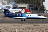 Alfonso Sols - Asociacin Canary Islands Spotting. Click to see full size photo