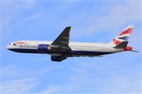 Miguel A. gueda Rguez.  (CANARY ISLANDS SPOTTING). Click to see full size photo