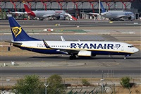 Alfonso Sols - Asociacin Canary Islands Spotting. Haz click para ampliar
