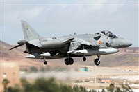 Adrin Alonso Lemes - Lanzarote Spotters. Haz click para ampliar