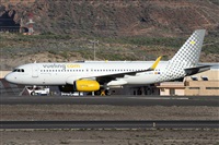 ©Alfonso Solís - Asociación Canary Islands Spotting. Click to see full size photo ©Alfonso Solís - Asociación Canary Islands Spotting. Click to see full size photo