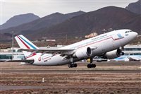©Román A. Pérez. Click to see full size photo ©Román A. Pérez. Click to see full size photo