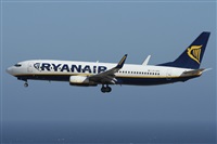 ©Alfonso Solís - Asociación Canary Islands Spotting. Click to see full size photo ©Alfonso Solís - Asociación Canary Islands Spotting. Click to see full size photo