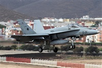 Alfonso Sols - Asociacin Canary Islands Spotting. Haz click para ampliar