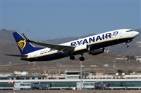 ©Alfonso Solís - Asociación Canary Islands Spotting. Click to see full size photo ©Alfonso Solís - Asociación Canary Islands Spotting. Click to see full size photo