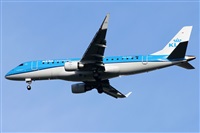 ©Alfonso Solís - Asociación Canary Islands Spotting. Click to see full size photo ©Alfonso Solís - Asociación Canary Islands Spotting. Click to see full size photo