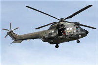 Adrin Alonso Lemes - Lanzarote Spotters. Click to see full size photo