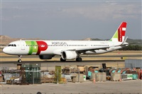 ©Alfonso Solís - Asociación Canary Islands Spotting. Click to see full size photo ©Alfonso Solís - Asociación Canary Islands Spotting. Click to see full size photo