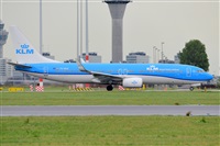 Miguel A. gueda Rguez.  (CANARY ISLANDS SPOTTING). Click to see full size photo