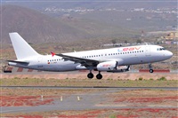 Miguel A. gueda Rguez.  (CANARY ISLANDS SPOTTING). Click to see full size photo