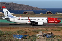 ©Alfonso Solís - Asociación Canary Islands Spotting. Click to see full size photo ©Alfonso Solís - Asociación Canary Islands Spotting. Click to see full size photo