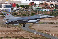 ©Alejandro H.L - Gran Canaria Spotters. Click to see full size photo ©Alejandro H.L - Gran Canaria Spotters. Click to see full size photo