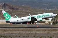 ©Alfonso Solís - Asociación Canary Islands Spotting. Click to see full size photo ©Alfonso Solís - Asociación Canary Islands Spotting. Click to see full size photo