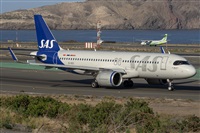 ©Adolfo Bento - Gran Canaria Spotters. Click to see full size photo ©Adolfo Bento - Gran Canaria Spotters. Click to see full size photo