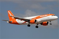 Alfonso Sols - Asociacin Canary Islands Spotting. Click to see full size photo