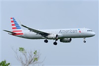 Miguel A. gueda Rguez.  (CANARY ISLANDS SPOTTING). Click to see full size photo