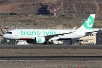 Alfonso Sols - Asociacin Canary Islands Spotting. Click to see full size photo