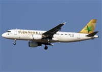 ©Javier Rodríguez. Click to see full size photo ©Javier Rodríguez. Click to see full size photo