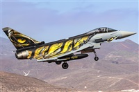 �Ruben Galindo.. Click to see full size photo