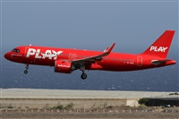 �Alfonso Sol�s - Asociaci�n Canary Islands Spotting. Click to see full size photo