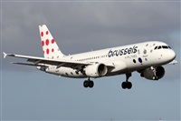 ©Alfonso Solís - Asociación Canary Islands Spotting. Click to see full size photo ©Alfonso Solís - Asociación Canary Islands Spotting. Click to see full size photo