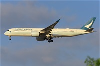 �Miguel A. �gueda Rguez.  (CANARY ISLANDS SPOTTING). Click to see full size photo