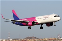 �Alfonso Sol�s - Asociaci�n Canary Islands Spotting. Click to see full size photo
