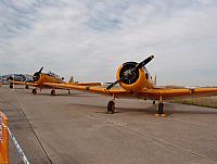 Pedro M. Moreno. Click to see full size photo