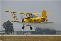 Carlos Moreira  *  PortugalSpotters.org. Click to see full size photo