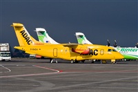 Javier de la Cruz - CANARY ISLANDS SPOTTING. Click to see full size photo