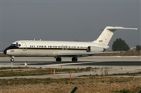 Jos Miguel Bernases - Noisy Spotters. Click to see full size photo