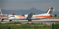 Rubn Gil - Noisy Spotters. Click to see full size photo