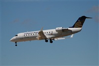 Rubn Gil - Noisy Spotters. Click to see full size photo