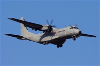©José Miguel Bernases - Noisy Spotters. Click to see full size photo ©José Miguel Bernases - Noisy Spotters. Click to see full size photo
