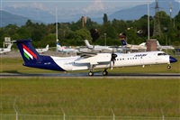 Rodrigo Carvalho - Noisy Spotters. Click to see full size photo