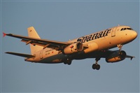 Adrin Alonso Lemes - Lanzarote Spotters. Click to see full size photo