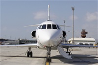 Jos Miguel Bernases - Noisy Spotters. Click to see full size photo