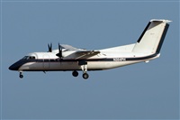 JF Alemn-GranCanariaSpotters. Click to see full size photo