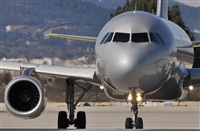 Rubn Gil - Noisy Spotters. Click to see full size photo