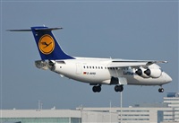 Chalo Canary Islands Spotting. Haz click para ampliar