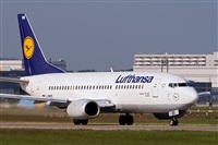 Javier de la Cruz - CANARY ISLANDS SPOTTING. Click to see full size photo