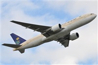 Rubn Gil - Noisy Spotters. Click to see full size photo
