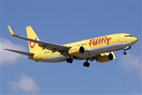 ©Alfonso Solís - Asociación Canary Islands Spotting. Click to see full size photo ©Alfonso Solís - Asociación Canary Islands Spotting. Click to see full size photo