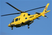 Adrin Alonso Lemes - Lanzarote Spotters. Haz click para ampliar