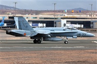 Florencio Martn Melin - Lanzarote Spotters. Click to see full size photo