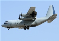 Alejandro H.L - Gran Canaria Spotters. Haz click para ampliar