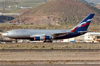 Luciano Fumero( freedom spotter)canary island spotting. Click to see full size photo